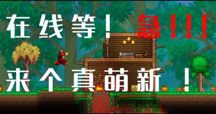 泰拉瑞亚手机版：全面探索与生存指南