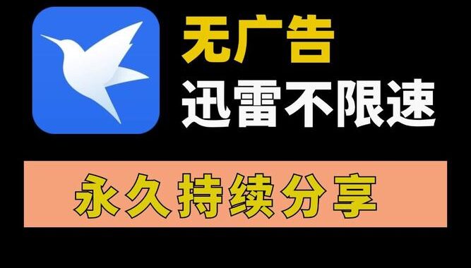 迅雷网盘官方下载：详细步骤与功能介绍