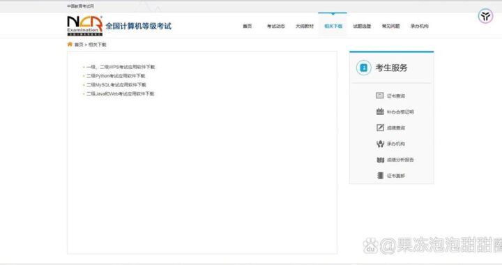 WPS考试专用版：全面指南与高效备考策略