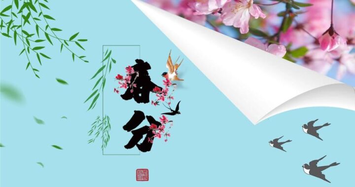 2020PPT模板免费下载：打造专业演示文稿的秘诀