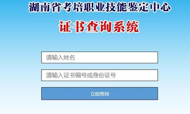 证书编号查询：全面指南与实用技巧