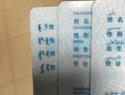 身份证号码验证：全面解析与实用技巧