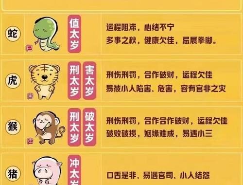 2025年属什么：揭秘生肖轮回与属相文化