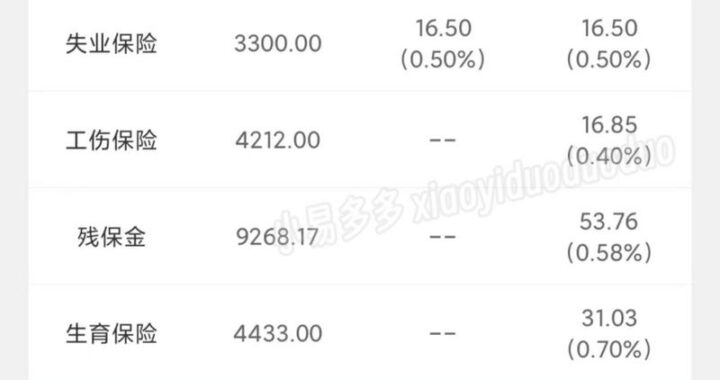 厦门社保查询：全面指南与详细步骤