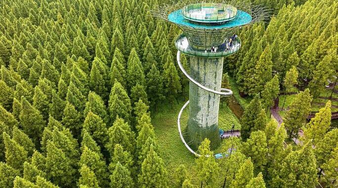 嘈杂生活中的一片自留地：如何打造个人宁静空间？