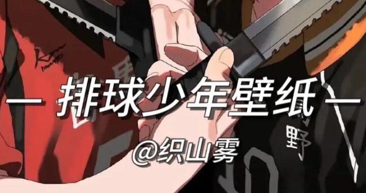 排球少年漫画：热血与梦想的青春赞歌