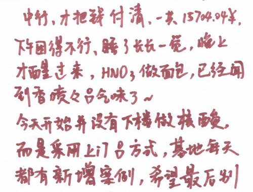 nov是几月缩写：全面解析与月份知识拓展