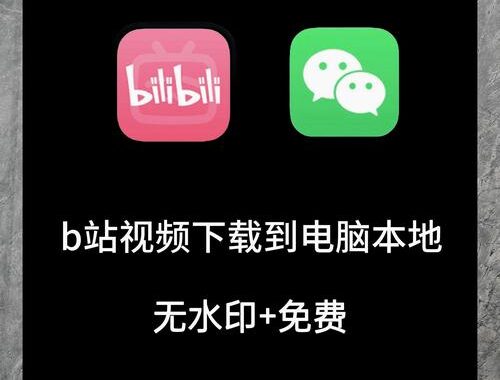 电脑b站怎么下载视频：详细步骤与实用工具推荐