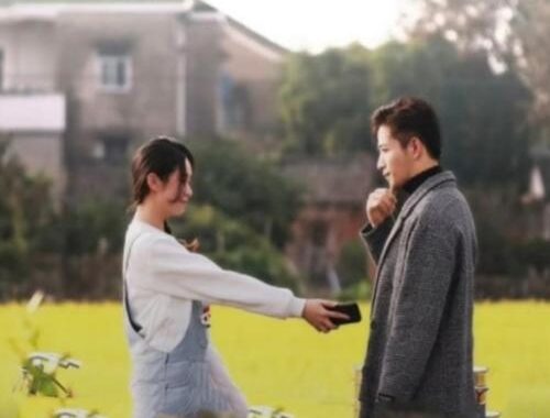 红苹果免费短剧：探索创意无限的微型剧集世界