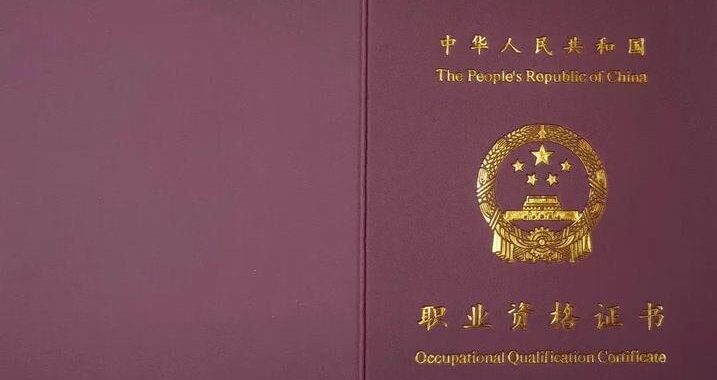 技能人员职业资格证书：获取流程与职业发展指南