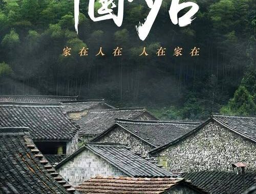 中国纪录片网：如何找到并欣赏高质量的纪录片？