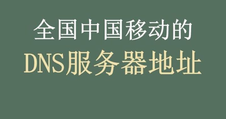 如何查看DNS地址？详细步骤与常见问题解答