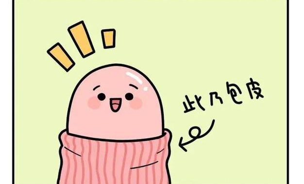 小鸡鸡的样子：形态特征与生长变化详解