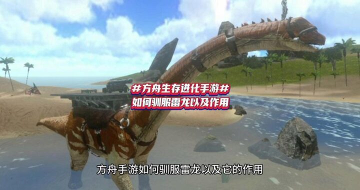 方舟雷龙代码是什么？如何正确使用及常见问题解答