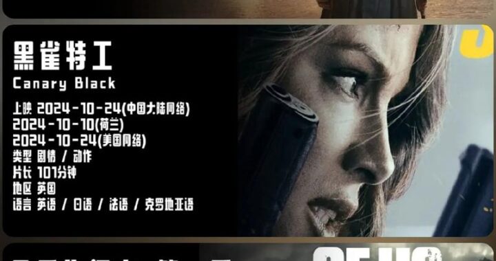 天启z完结的起点在线观看：全面指南与精彩回顾