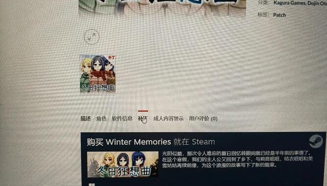 夏日狂想曲下载：详细步骤与注意事项