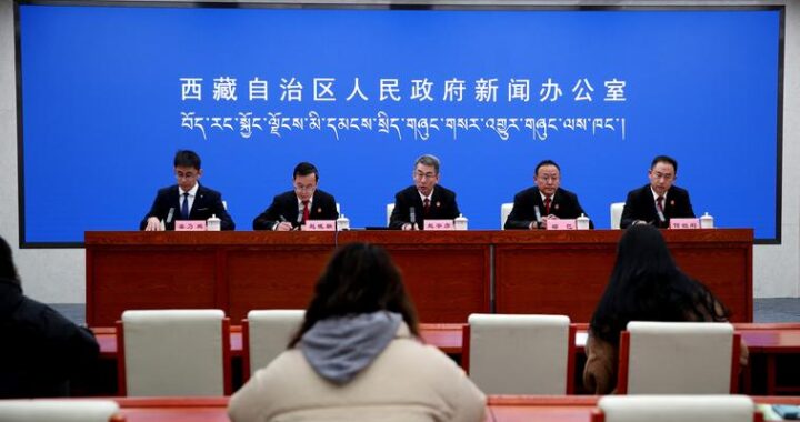 西藏自治区公共资源有哪些？如何有效利用这些资源？