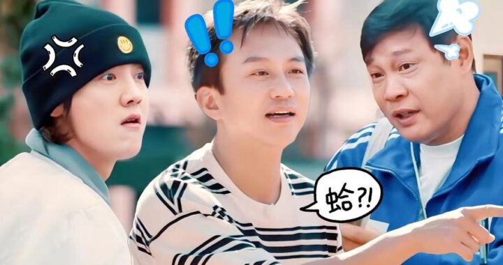 哈哈哈哈第四季免费观看完整版：独家揭秘与精彩看点