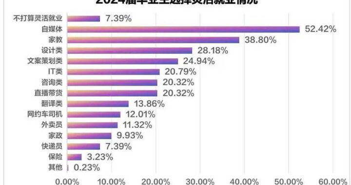 高校毕业生就业：策略、挑战与未来展望
