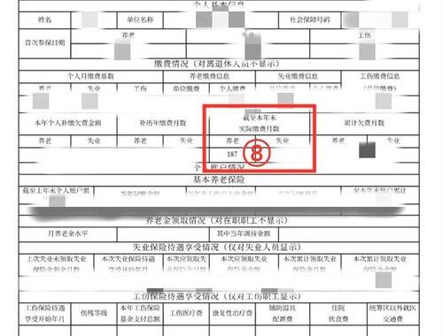 社保缴费年限查询：全面指南与详细步骤