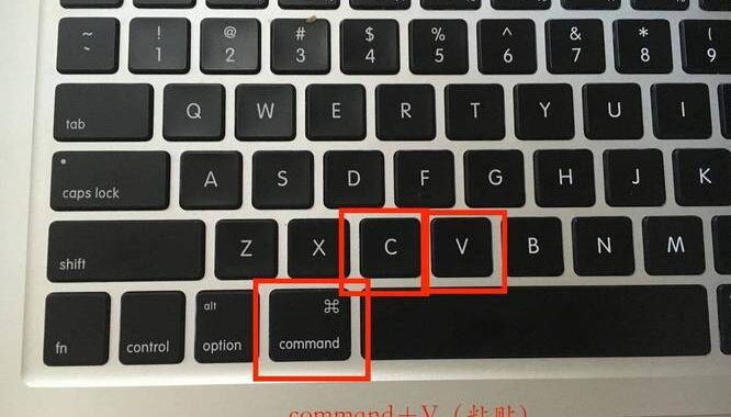 复制是ctrl加什么？详细指南教你如何快速掌握快捷键操作