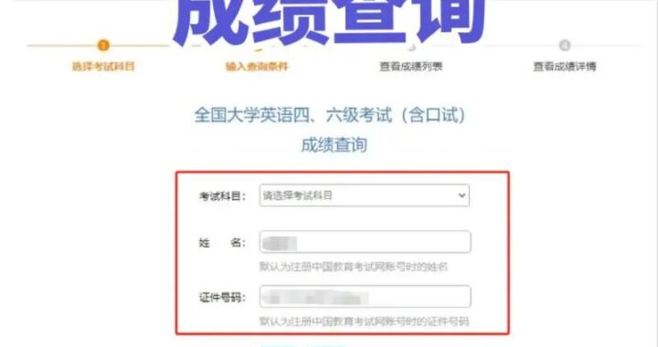 四级分数查询：详细步骤与注意事项