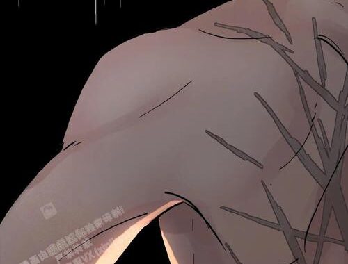 无根之树漫画无删减第二季：哪里能找到完整资源？如何观看？