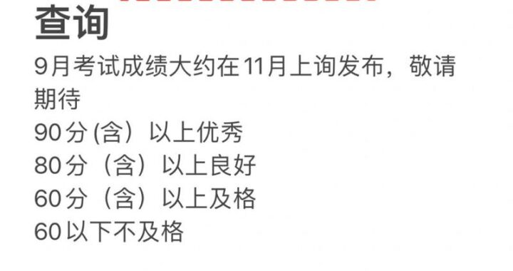 上海计算机等级考试成绩查询：如何操作及常见问题解答
