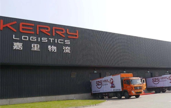 嘉里大荣物流查询：如何进行及常见问题解答