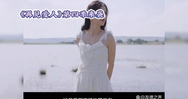 再见吧爱人第四季在线观看：浪漫重启，情感之旅再续