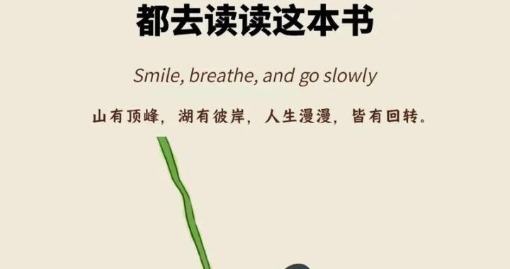 成年人的世界一个就够了：专注与深度生活的艺术
