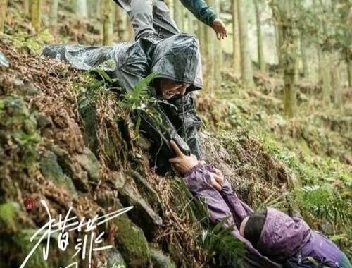 猎罪图鉴第二部：悬疑升级，真相再探