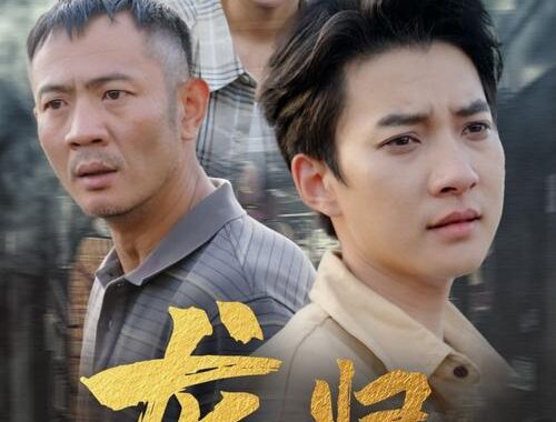 电视剧免费在线观看网站：全面解析与推荐