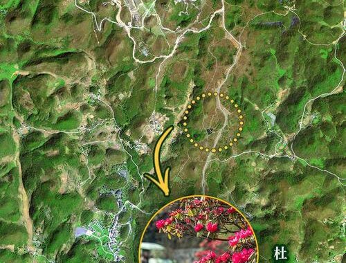中国卫星地图实景图：探索中华大地的每一寸土地