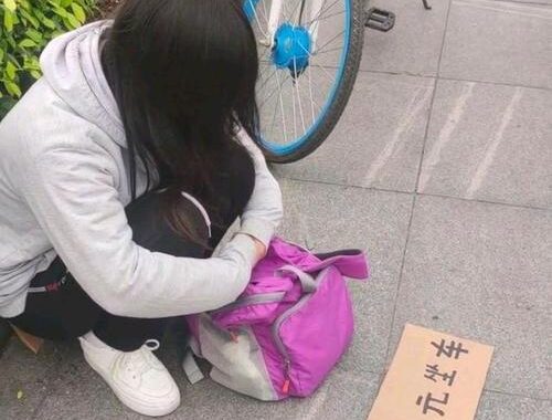 街头给钱系列：如何安全有效地参与街头慈善捐赠？