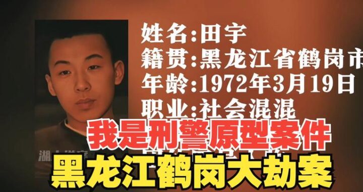 我是刑警案子原型：揭秘一起跨国走私毒品大案的侦破历程