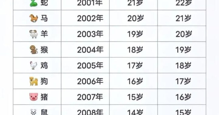 明年什么年属什么生肖：2025年乙巳蛇年详解