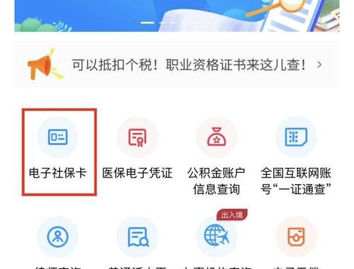社保查询个人查询：详细步骤与操作指南