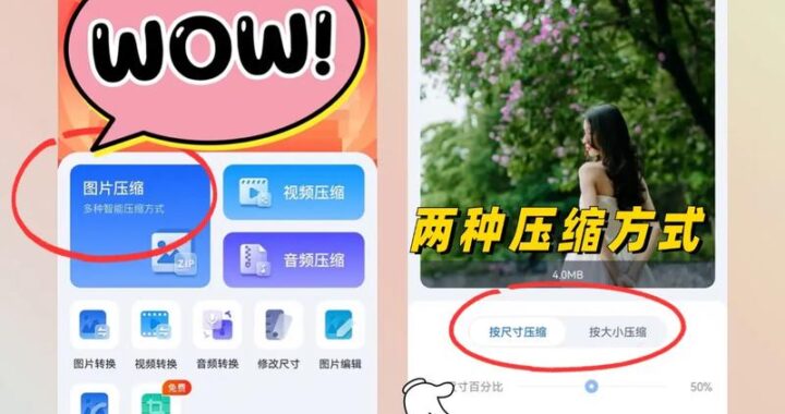 图片缩小尺寸如何保持清晰？专业技巧详解