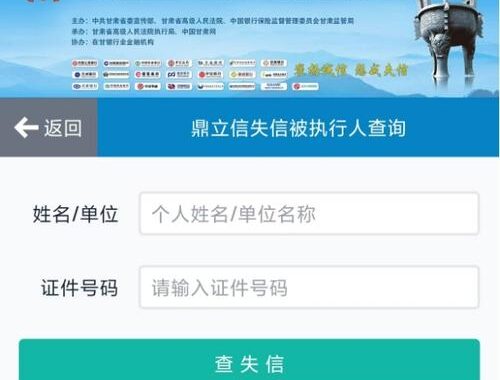 公开执行信息查询：全面指南与实用技巧