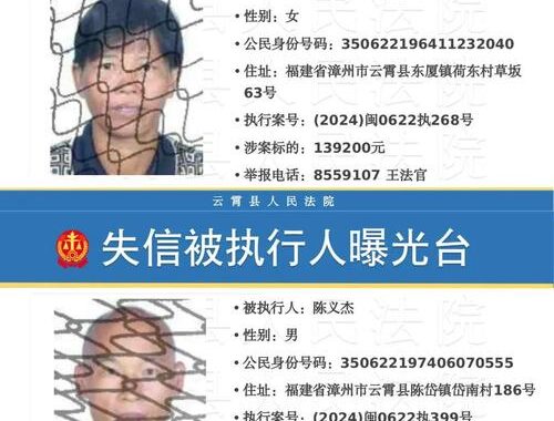 失信被执行人：法律惩戒与社会影响深度剖析