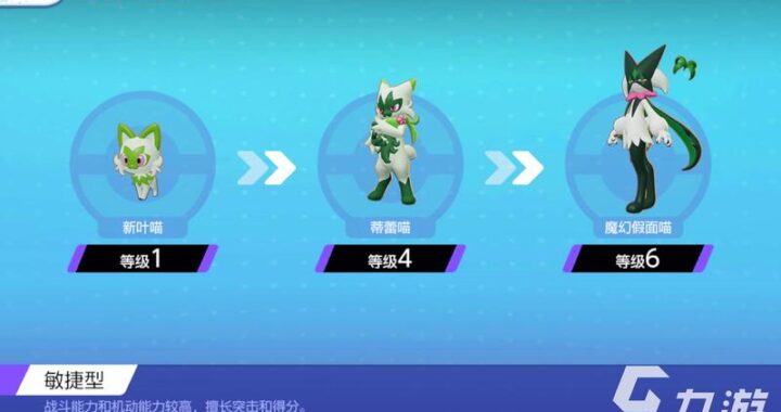 宝可梦大集结：全面解析与玩法指南