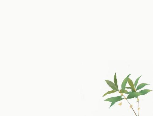 如何进行Word图片排版？专业技巧与常见问题解答