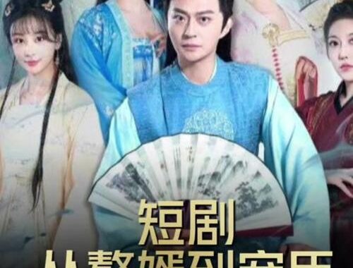 从赘婿到宠臣短剧免费：解锁逆袭之旅的精彩剧情