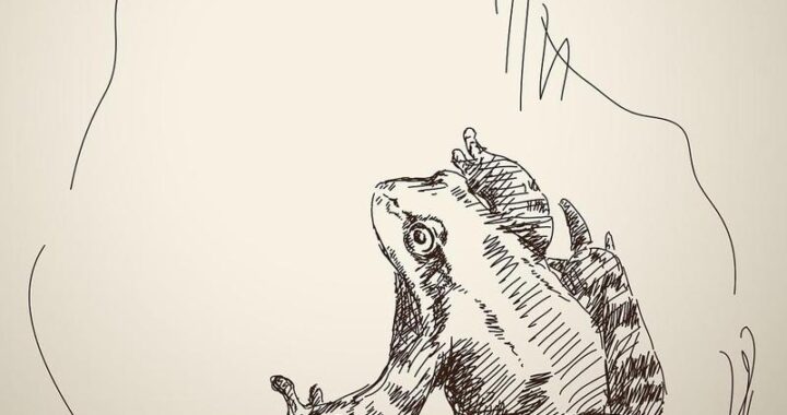 素描漫画漫蛙：从基础到进阶的创意之旅