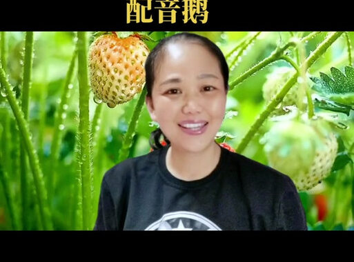 配音鹅网页版：一站式专业配音服务平台详解