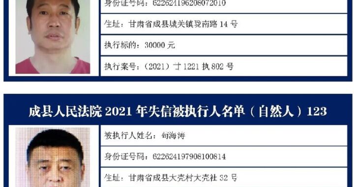 失信查询平台是什么？如何高效使用它查询个人或企业信用状况？