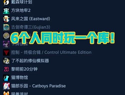 Steam家庭组共享可以同时玩吗？全面解析与操作步骤