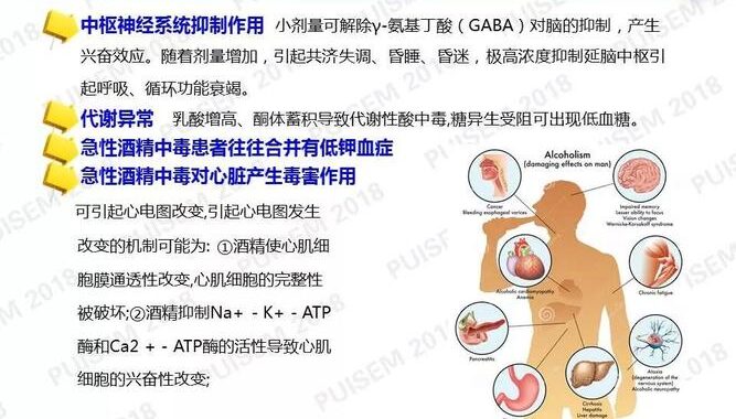 乙醇属于何种级别的毒性：全面解析乙醇的毒性级别与影响