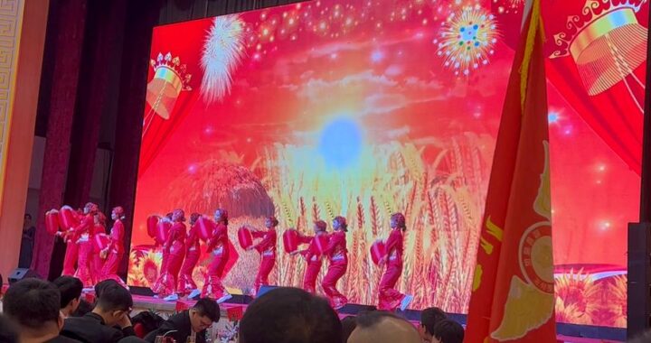 年会节目表演：创意策划与精彩呈现指南